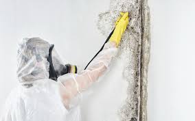 Best Residential Mold Inspection & Testing  in White City, OR